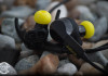 Test – Jabra Sport Pulse Wireless