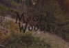 Philip Walder in den Magic Woods