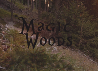 Philip Walder in den Magic Woods