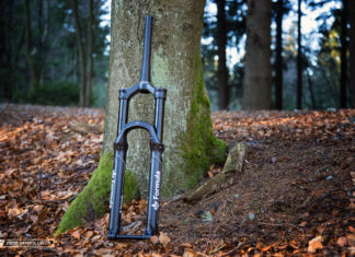 Formula 35 im Detail