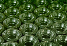 Hausbesuch bei Tune – born in the Black Forest