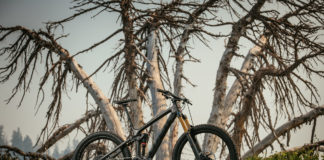 Trek Remedy – überarbeitetes Trailbike für 2019 Trek Remedy