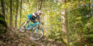 Beteiligungsverfahren Waldgesetzänderung Baden-Württemberg