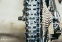 Schwalbe Hans Dampf 2019 im Dauertest Schwalbe Hans Dampf 2019