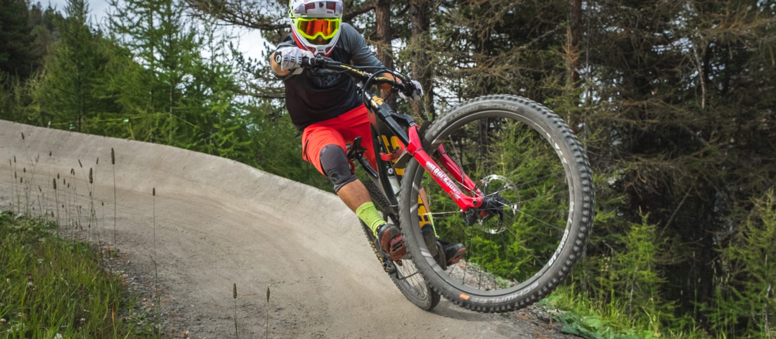 Propain Tyee Carbon & Tyee AM Carbon 2019