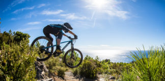 Canyon Strive 2019 – Jetzt auch als 29er Canyon Strive 2019