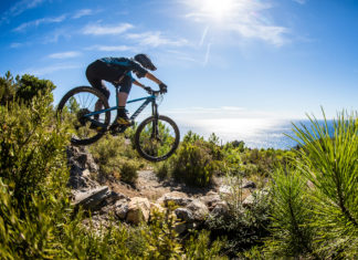 Canyon Strive 2019 – Jetzt auch als 29er Canyon Strive 2019