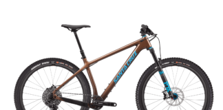 Santa Cruz Chameleon Carbon