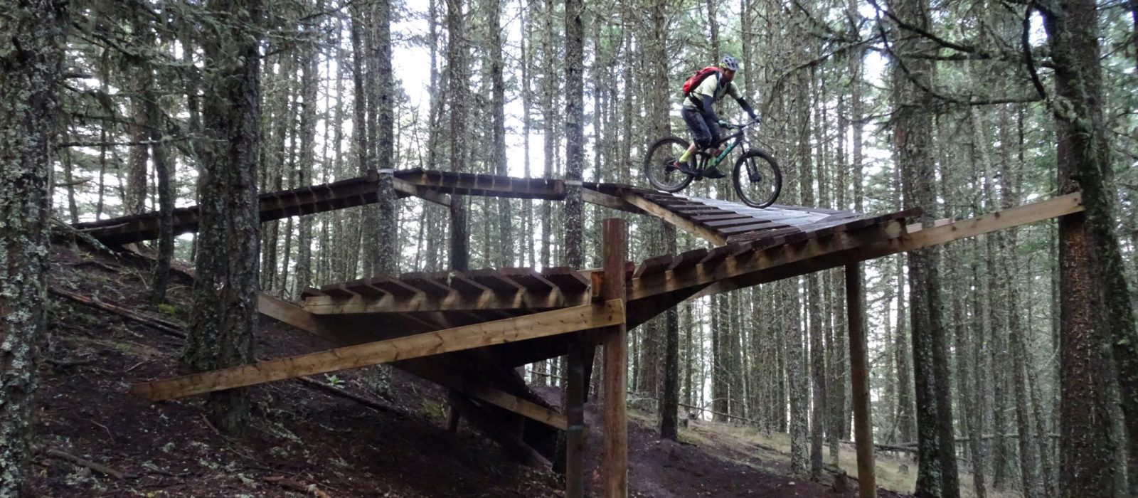 Mountainbiken In Bear Country [Leserstory]