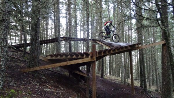 Mountainbiken In Bear Country [Leserstory]