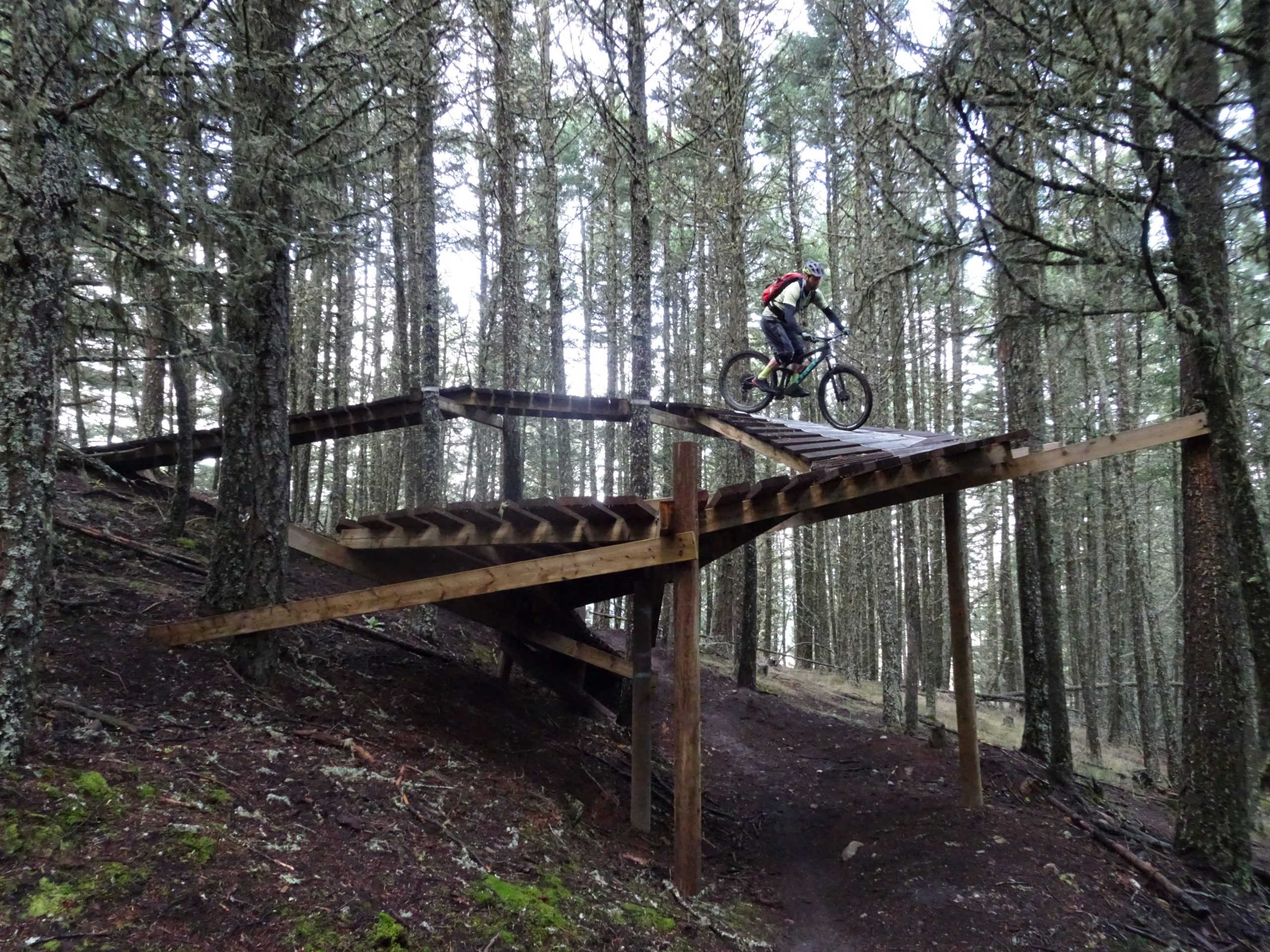 Mountainbiken In Bear Country [Leserstory]