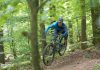 CHX Editor Rides – Ibis Ripley in Bewegung