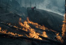 From the Ash II Nico Vink From the Ash