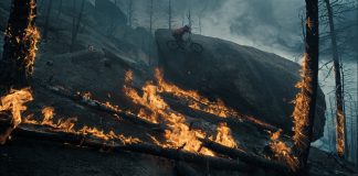 From the Ash II Nico Vink From the Ash