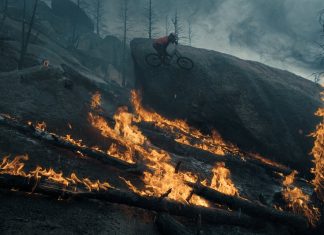 From the Ash II Nico Vink From the Ash