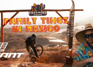 Family Tingz in Mexiko – Stevie Schneider