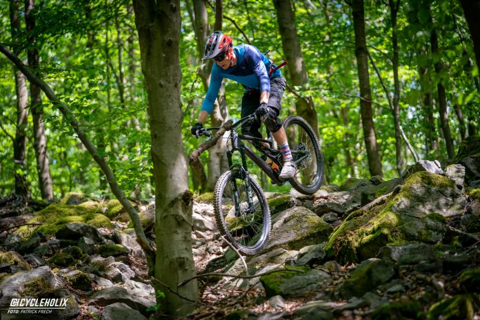 Specialized Stumpjumper EVO 2021 - Der Große Bruder Im Test | Cycleholix