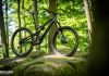 Specialized Stumpjumper EVO 2021 – der große Bruder im Test