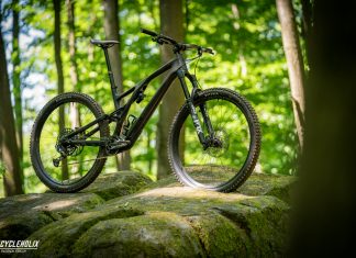 Specialized Stumpjumper EVO 2021 – der große Bruder im Test