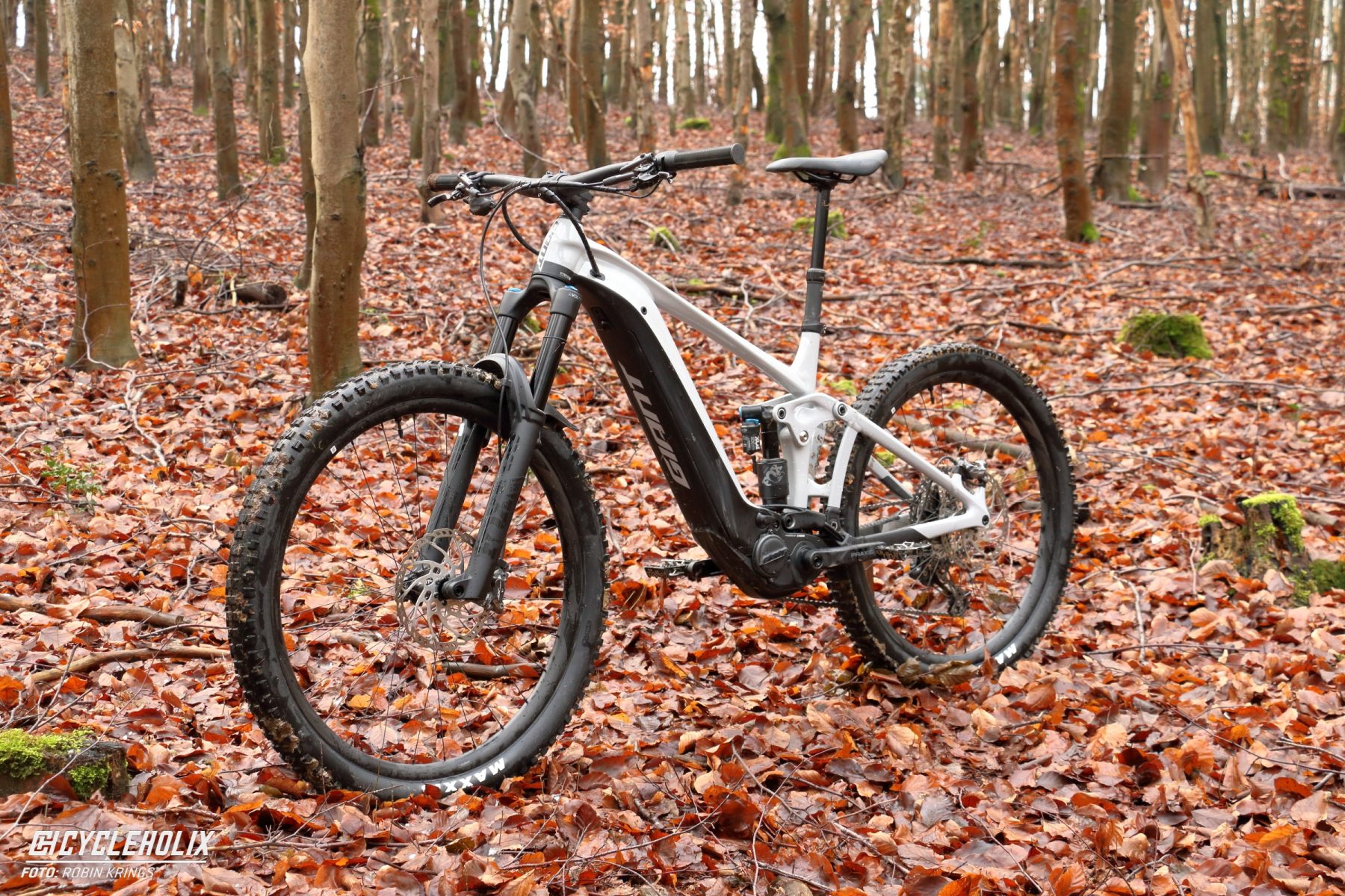 TEST: GIANT Reign E  1 [2022] - Das Mullet E-Enduro