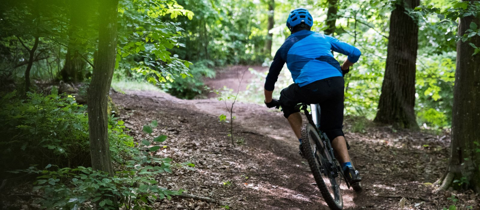 Radon Slide Trail 8.0 Im Einzeltest