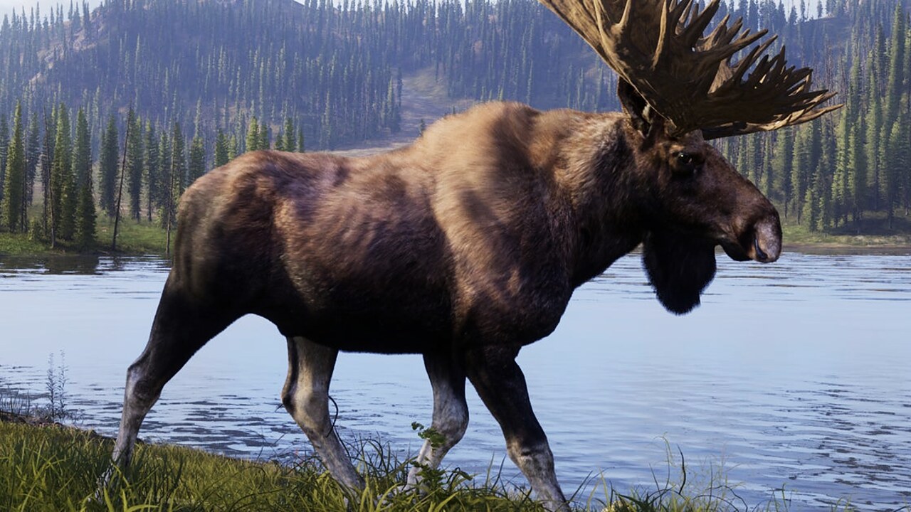 Way of the Hunter 2: Release-Datum steht fest — 29. September 2026 auf PC und Konsolen